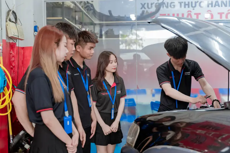 Học ngành kỹ thuật ô tô ra trường có nên làm Nhân viên kinh doanh ô tô không (3)